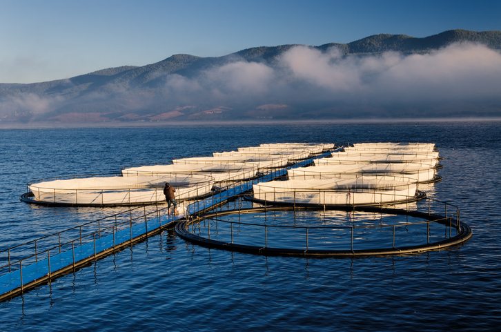 fish farming