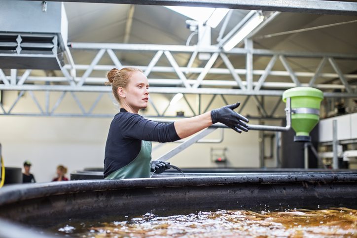 Aquaculture industry and the need for funding