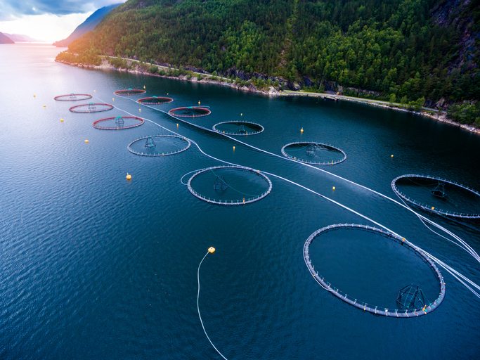 Aquaculture trends coming in 2018