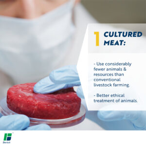 Food technology scientist with meat cultivated in the lab